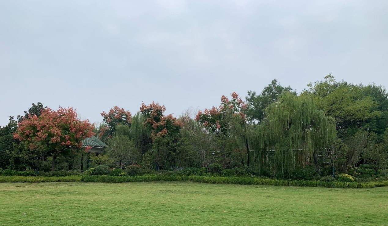 圖片16.jpg