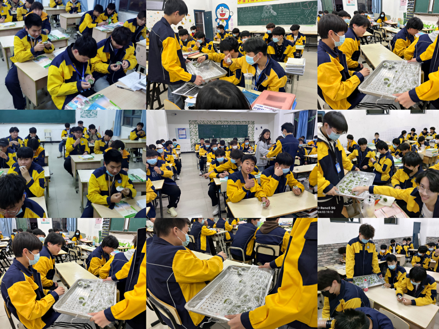 pt2022_04_04_19_20_42_編輯.jpg