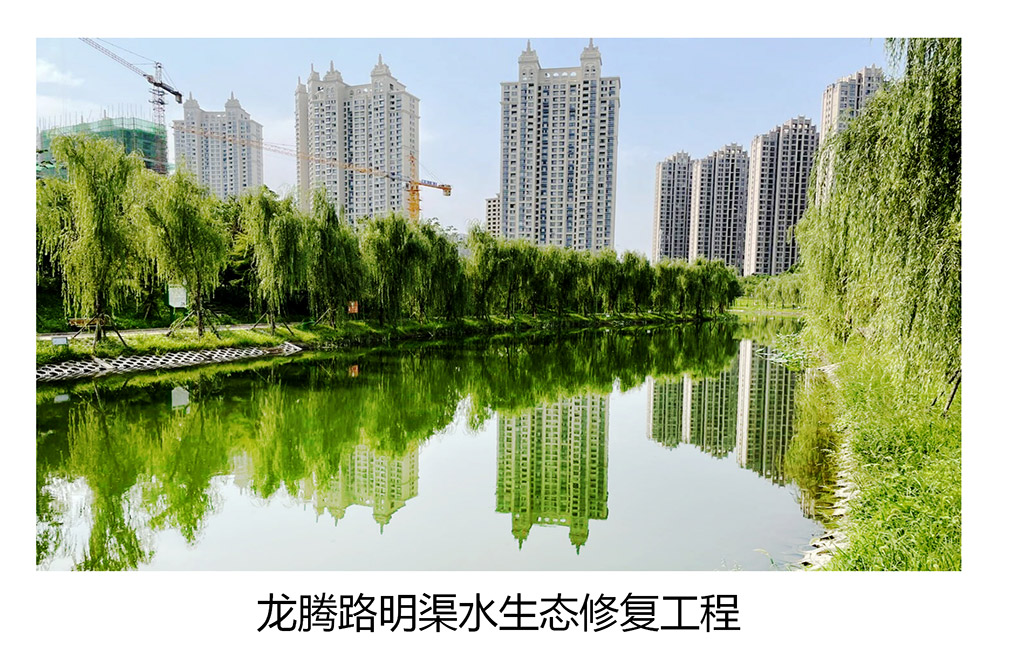 項目圖片_05.jpg