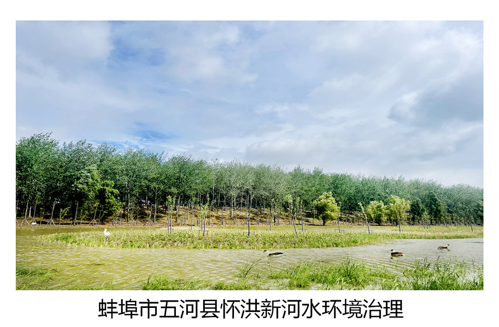 項目圖片_02.jpg