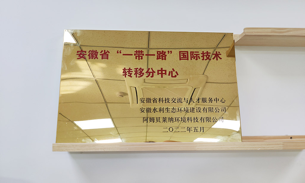 安徽省“一帶一路”國際轉(zhuǎn)移分中心.jpg